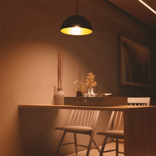 Philips Hemis Pendant Light