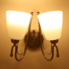 Philips Trendo Wall Light
