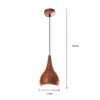 Philips Beacon Pendant light