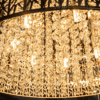 Philips Corona Suspended Chandelier