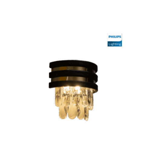 DIMENSIONS (11) Philips Naica Wall light