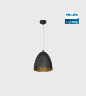 DIMENSIONS Philips Gemini Pendant Light