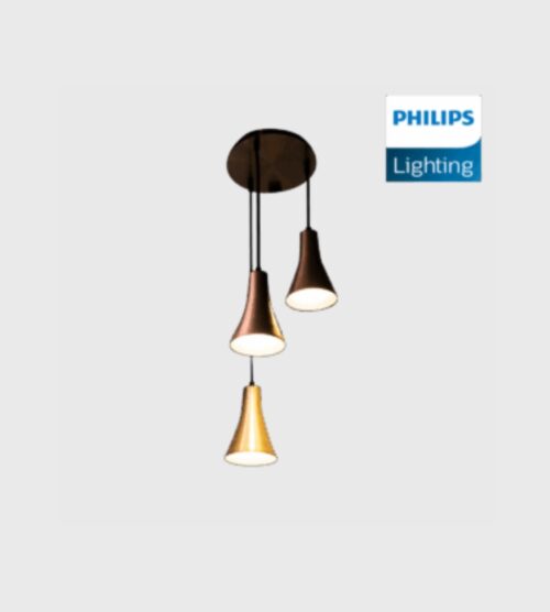 DIMENSIONS (17) Philips Jazz Pendant Light