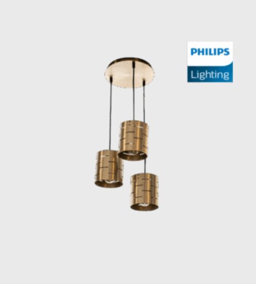 DIMENSIONS (29) Philips Roseate Pendant Light