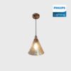 DIMENSIONS (31) Philips Tawny Pendant light