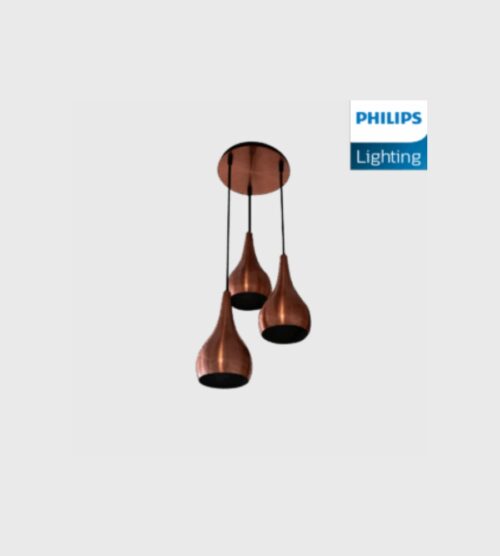 DIMENSIONS (5) Philips Blithe Pendant light