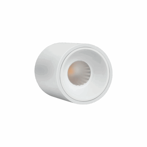 Philips Surface Deco LED COB Light