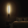 Philips Ebony Wall Light