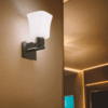 Philips Glint Wall Light