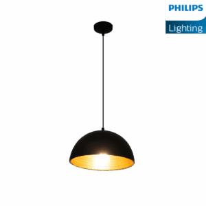 Philips Hemis Pendant Light