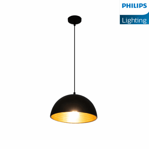 Philips Hemis Pendant Light