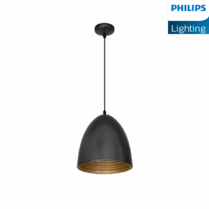 Philips Gemini Pendant Light