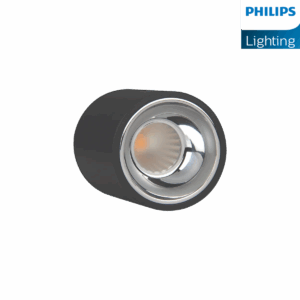 Philips Surface Deco LED COB Light