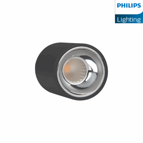 Philips Surface Deco LED COB Light
