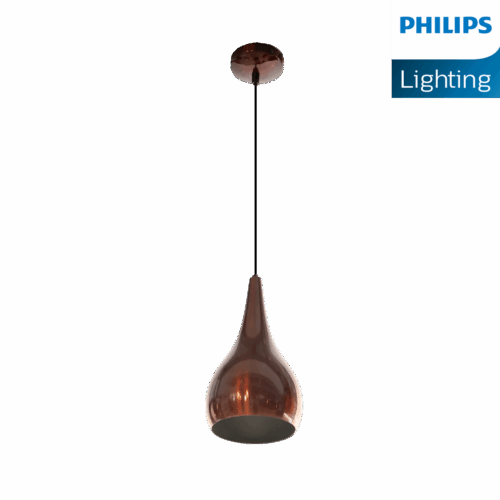 Philips Beacon Pendant light