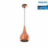 Philips Beacon Pendant light