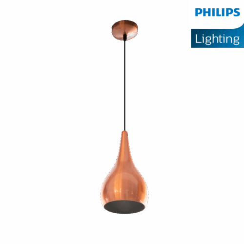 Philips Beacon Pendant light