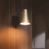 Philips Jazz Wall Light