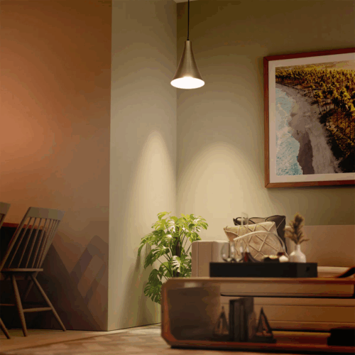 Philips Jazz Pendant Light
