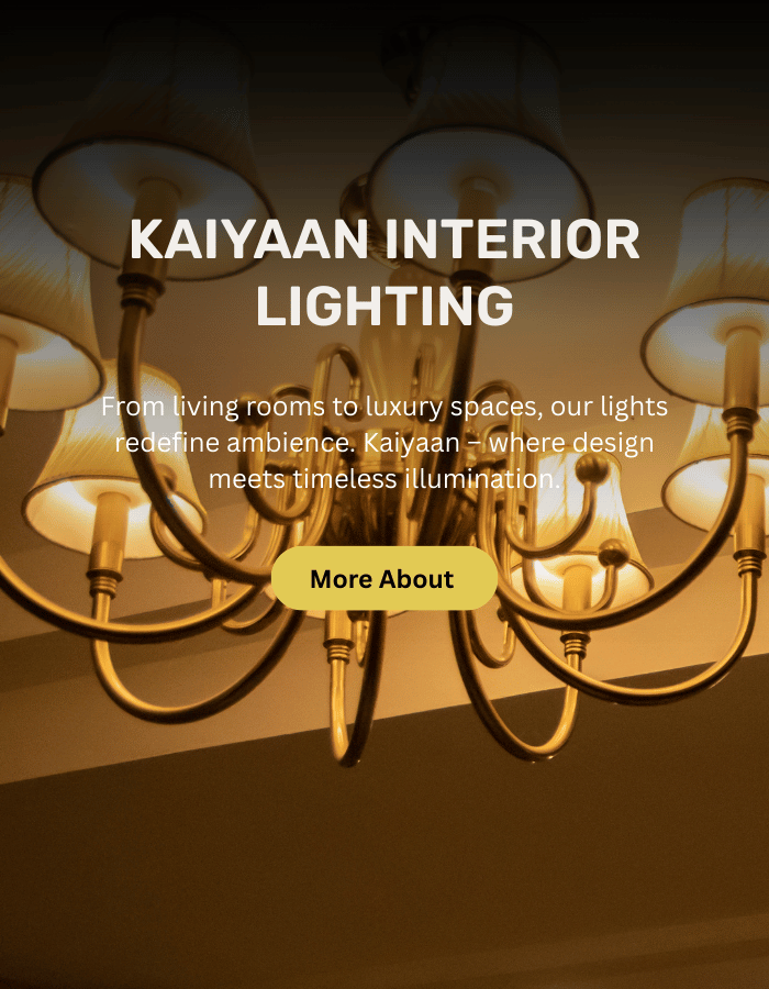 Lighting that Defines Elegance (1)