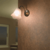 Philips Lucidus Wall Light