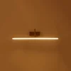 Philips Muziris Picture light