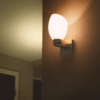 Philips Muziris Wall Light