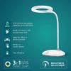 Philips Orbit Desk Light