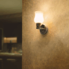 Philips Platina Wall Light