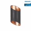 Philips Russet Outdoor Wall Washer