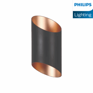 Philips Russet Outdoor Wall Washer