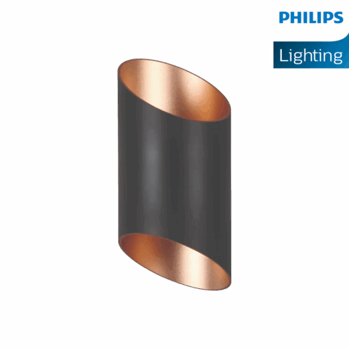 Philips Russet Outdoor Wall Washer