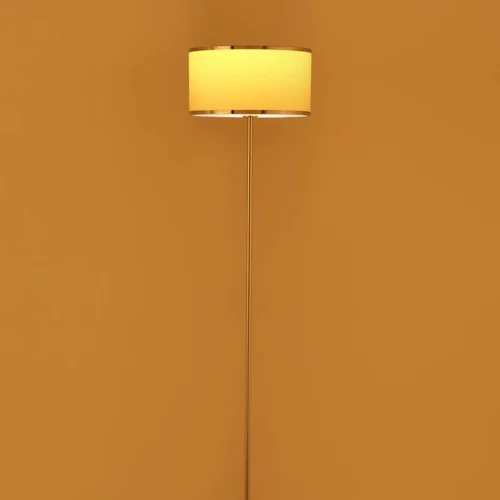 Philips Striker Floor lamp