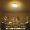 Philips Summit Ceiling Light
