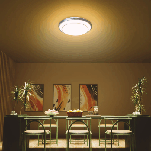 Philips Summit Ceiling Light