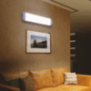 Philips Ultron Scene Switch Wall Light