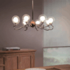 Philips Umbra Suspended Chandelier