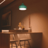 Philips Vivid Pendant Light