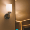Philips Blush Wall Light