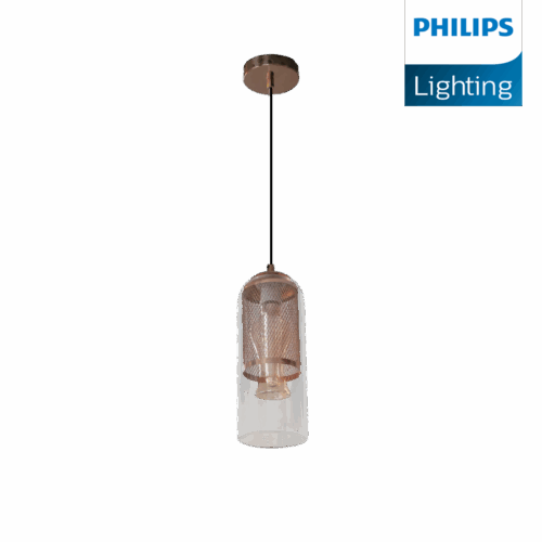 Philips Motif Mesh Pendant Light