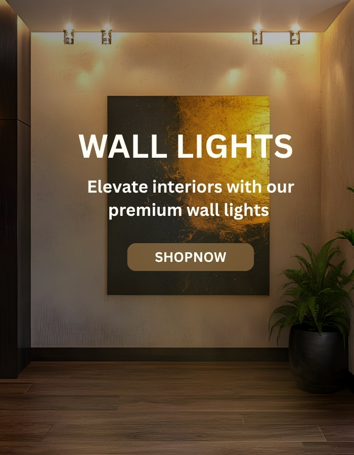 Lighting that Defines Elegance (2)