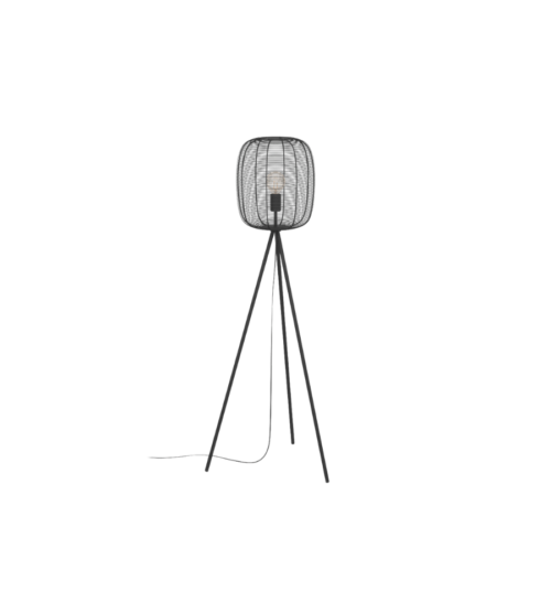 Untitled design - 2026-07-31T143924.763 DERWEN