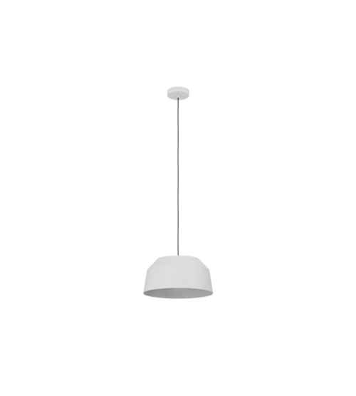 Untitled design - 2026-08-20T142028.997 CONTRISA